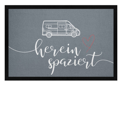 Pacific Grey-1157